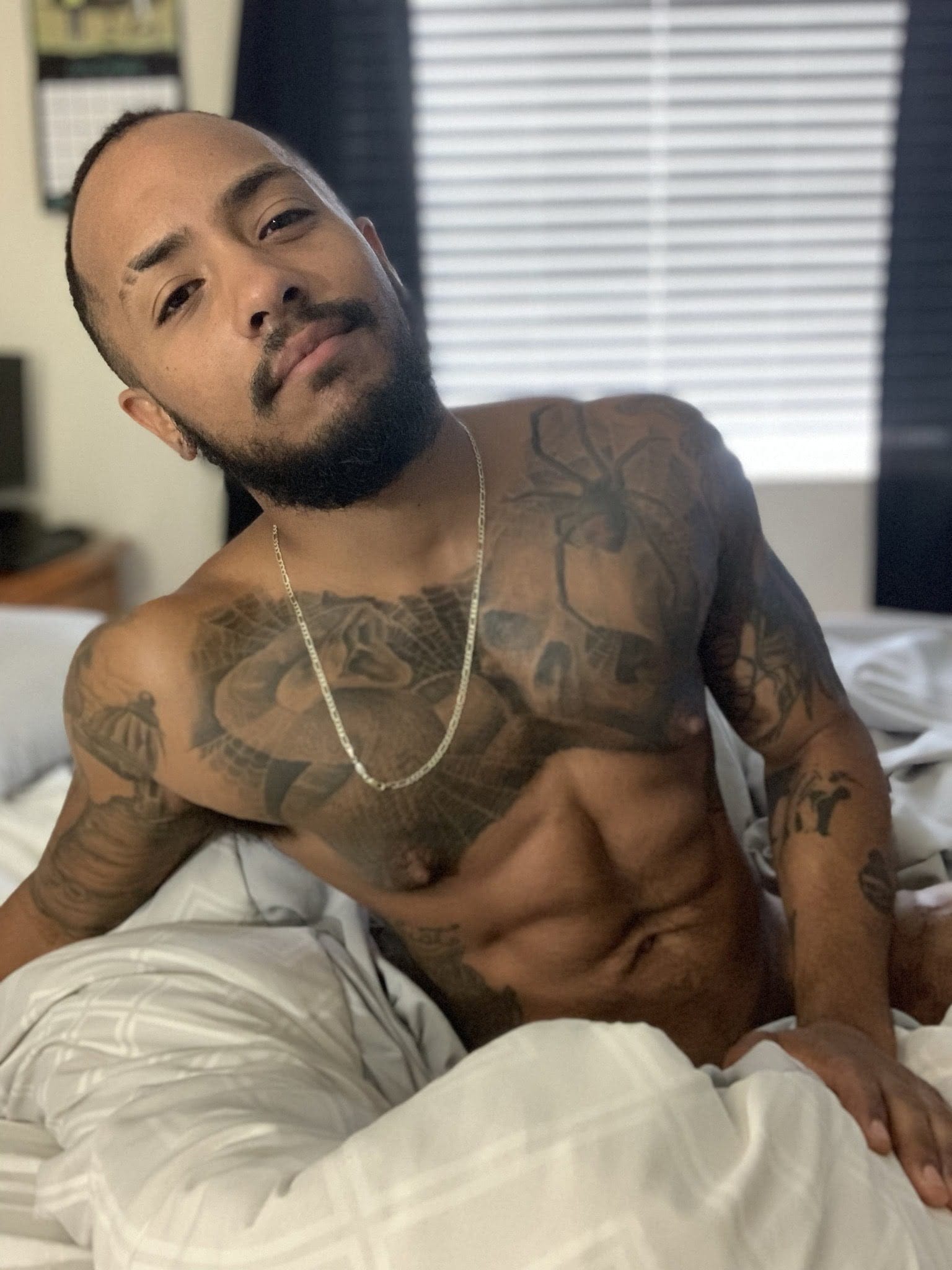 paboga OnlyFans photos and videos